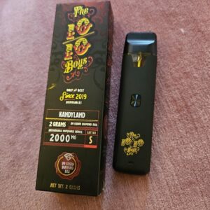 the 10/10 boys disposable vapes