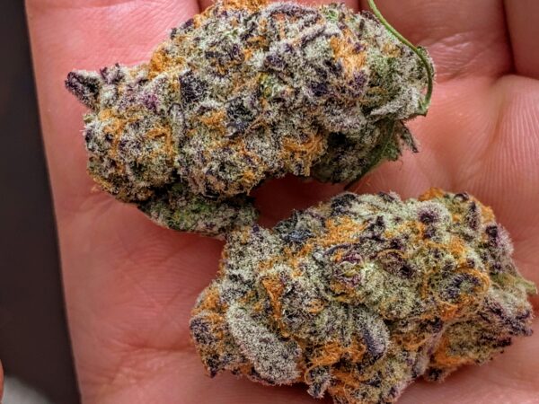 Rainbow sherbet 11 strain​